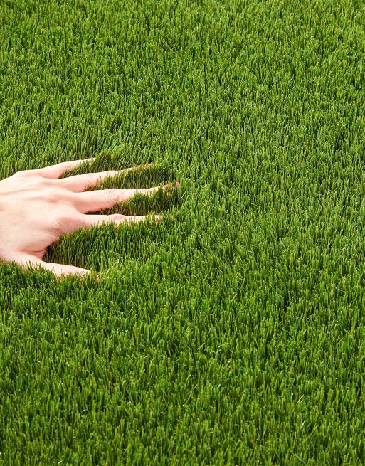 Cape Cabet Artificial Grass